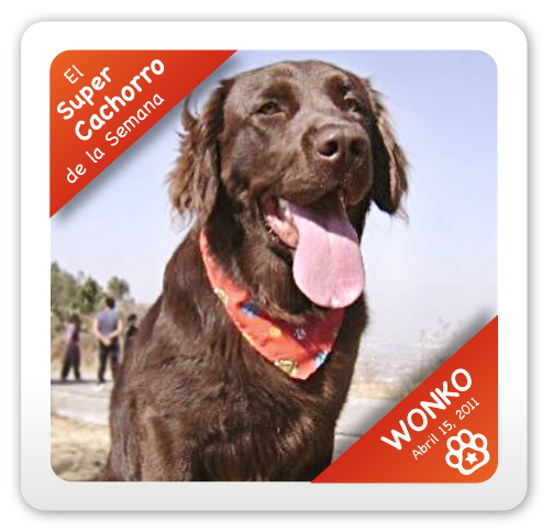 "Wonko" Super Cachorro de la Semana