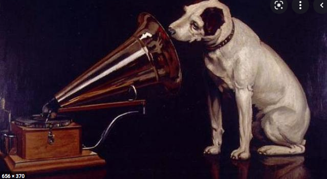 La Influencia De La Música En Tu Perro