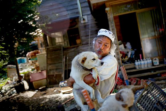 pb-131003-fukushima-dogs-da-01.photoblog900