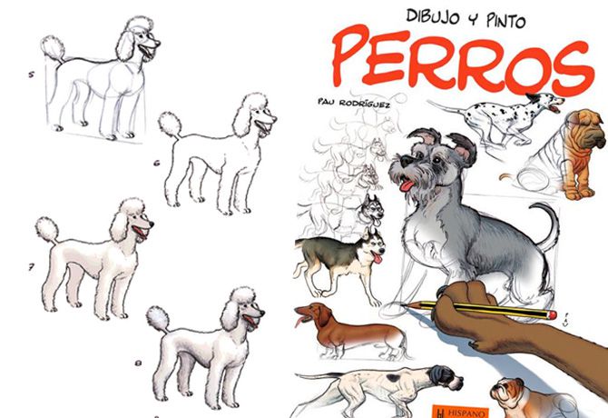 Dibujo y pinto perros - Super Cachorros