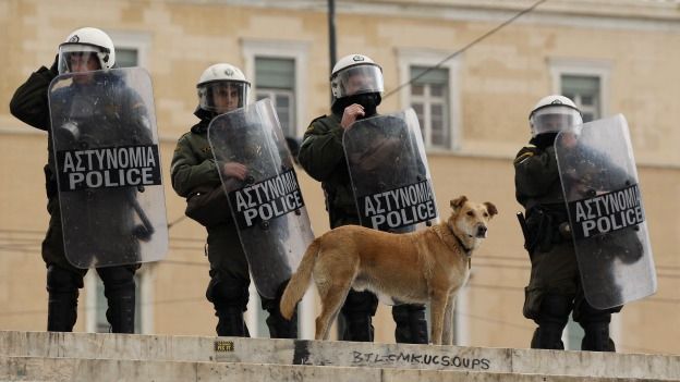 lukanikos-perro-grecia-protestas