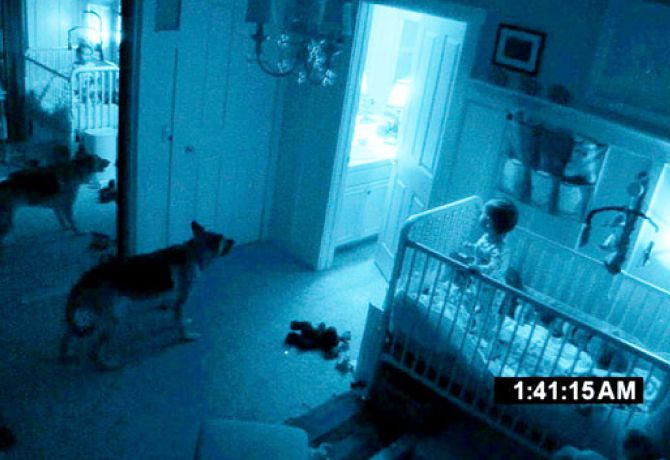 Perros paranormales