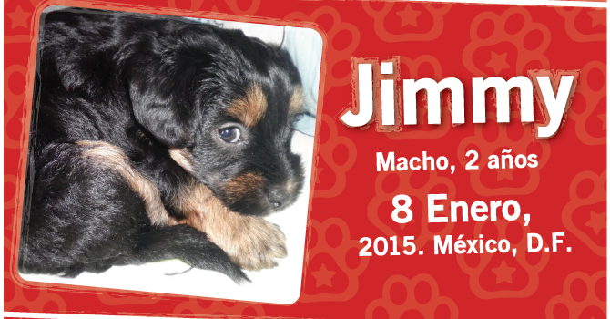 Jimmy: Super Cachorro De La Semana
