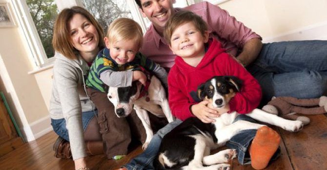 Family With Dogs 10 266795k