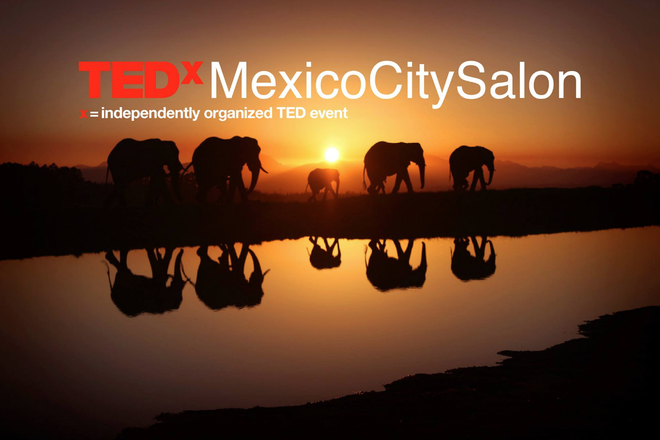 Super Cachorros es parte de TEDx Mexico City